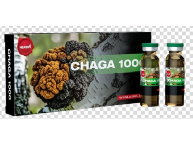 ČAGA 1000 Maisto papildas 10 buteliukų po 10 ml ČAGA 1000 Maisto papildas 10 buteliukų po 10 ml