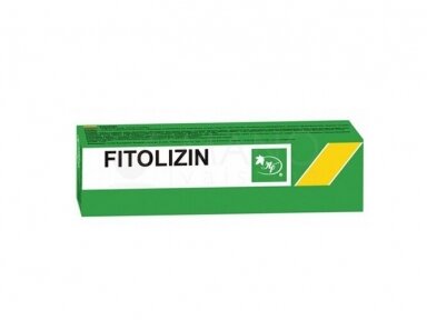 Maisto papildas Fitolizin pasta 100g Maisto papildas Fitolizin pasta 100g