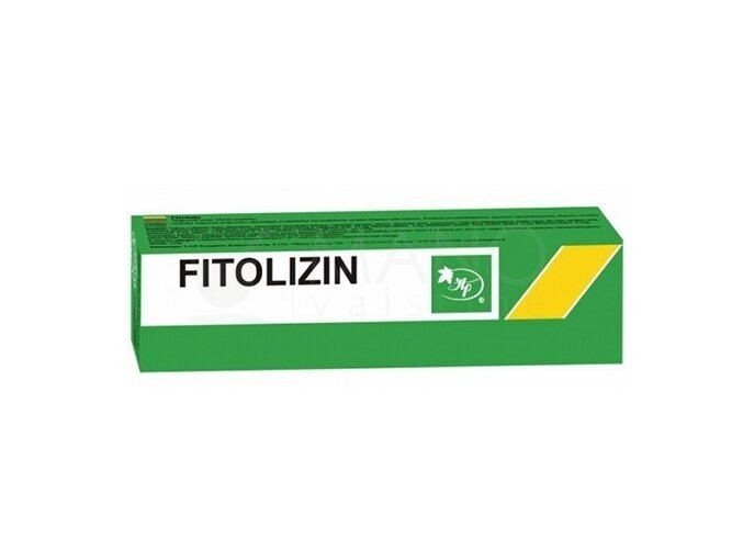Maisto papildas Fitolizin pasta 100g