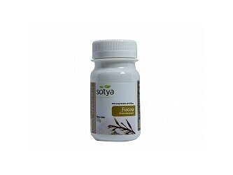 FUCUS 100 tablečių Maisto papildas FUCUS 100 tablečių Maisto papildas