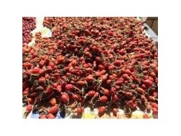 Žolelių arbata Gudobelės vaisiai 50 gr Žolelių arbata Gudobelės vaisiai 50 gr