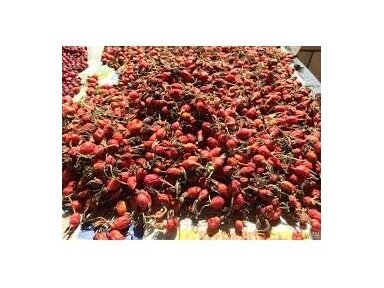 Žolelių arbata Gudobelės vaisiai 50 gr Žolelių arbata Gudobelės vaisiai 50 gr