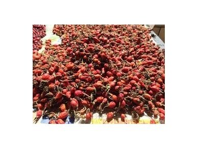 Žolelių arbata Gudobelės vaisiai 50 gr