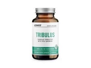 ICONFIT Maisto Papildas Tribulus 90 kaps. ICONFIT Maisto Papildas Tribulus 90 kaps.