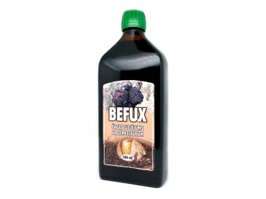 Maisto papildas BEFUX ČAGA užpilas su žemės taukų sultimis 250 ml..