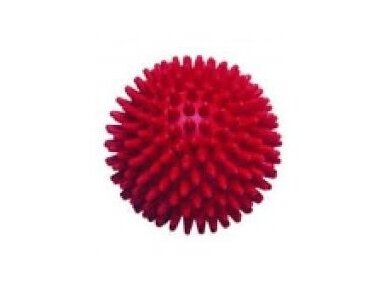 Masažinis kamuoliukas HealthBall Masažinis kamuoliukas HealthBall