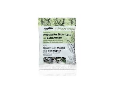 MASTIKOS ledinukaiI su eukaliptu ir mentoliu 70 g (27 ledinukai) be cukraus MASTIKOS ledinukaiI su eukaliptu ir mentoliu 70 g (27 ledinukai) be cukraus