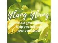 Ylang Ylang eterinis aliejus 100 % natūralus 10 ml.