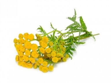 Žolelių arbata „Bitkrėslė“ 50gr Lekraset Žolelių arbata „Bitkrėslė“ 50gr Lekraset